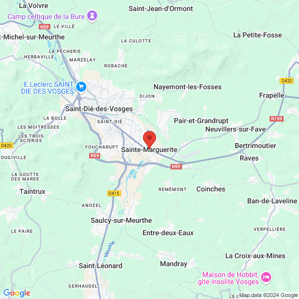 google map