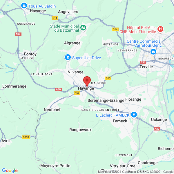 google map