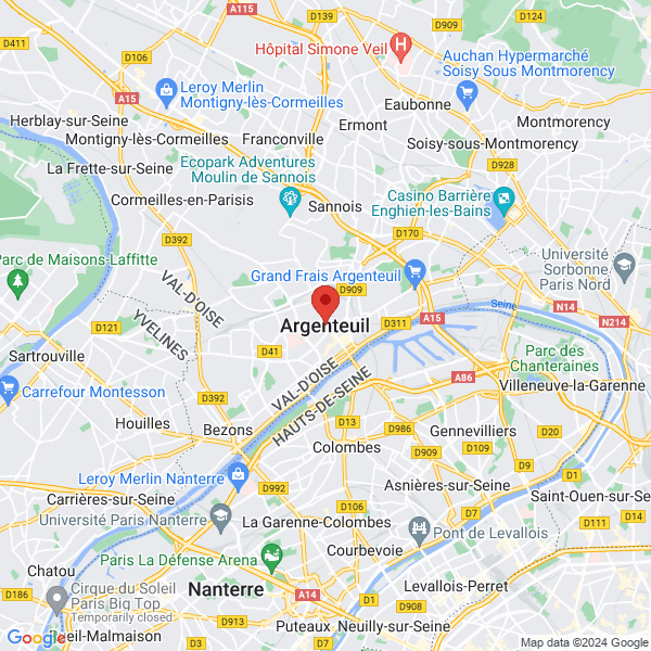 google map