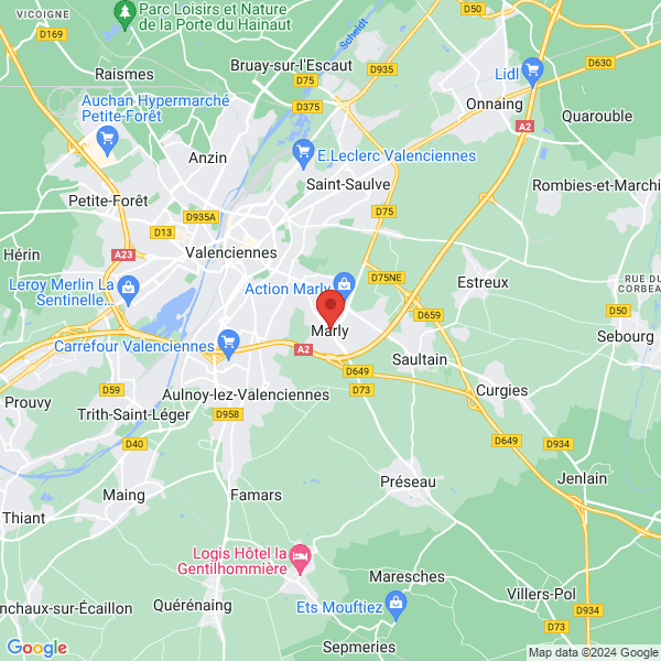 google map
