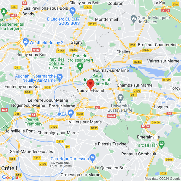 google map