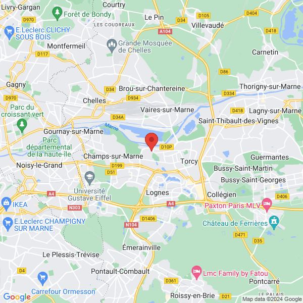 google map