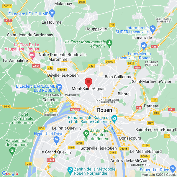 google map