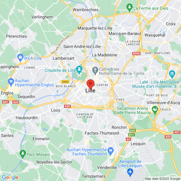 google map