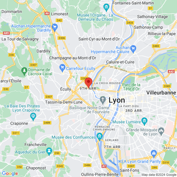 google map