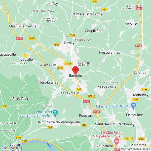 google map