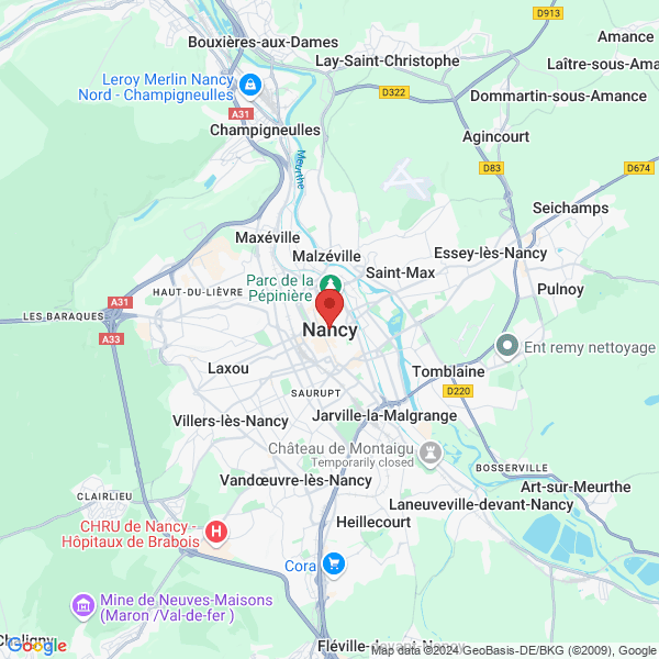 google map