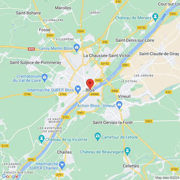 google map