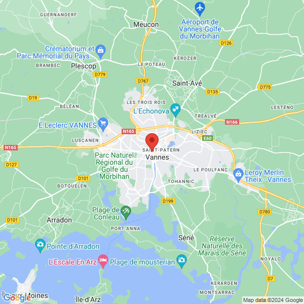 google map