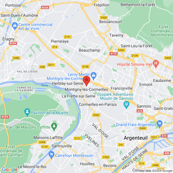 google map